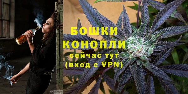 PSILOCYBIN Ельня
