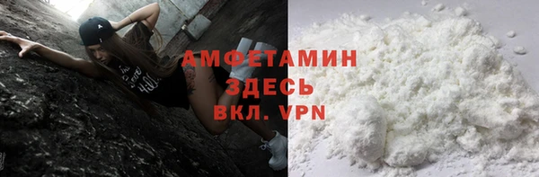 PSILOCYBIN Ельня