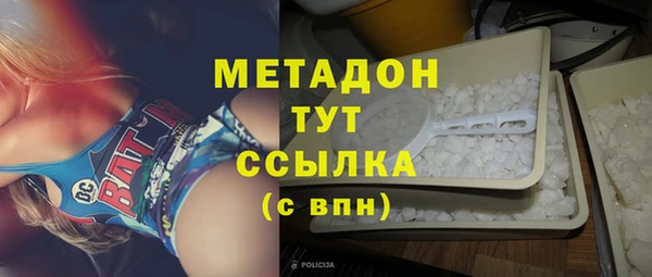 PSILOCYBIN Ельня
