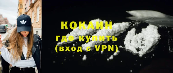 PSILOCYBIN Ельня