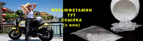 PSILOCYBIN Ельня