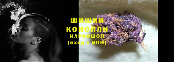 PSILOCYBIN Ельня