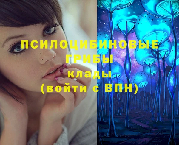 бошки Елабуга