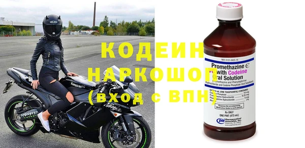 PSILOCYBIN Ельня