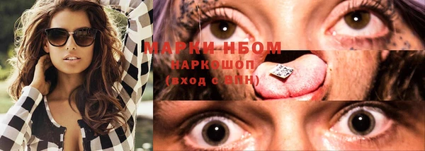 PSILOCYBIN Ельня