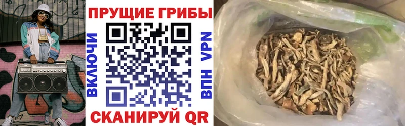 Галлюциногенные грибы MAGIC MUSHROOMS  Купить закладки  Конаково 